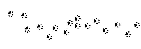 kitty-paws-banner1.gif%3Fw%3D580